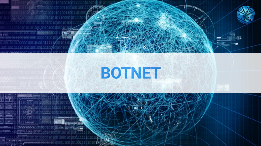 cyberconseil-botnet-decouverte