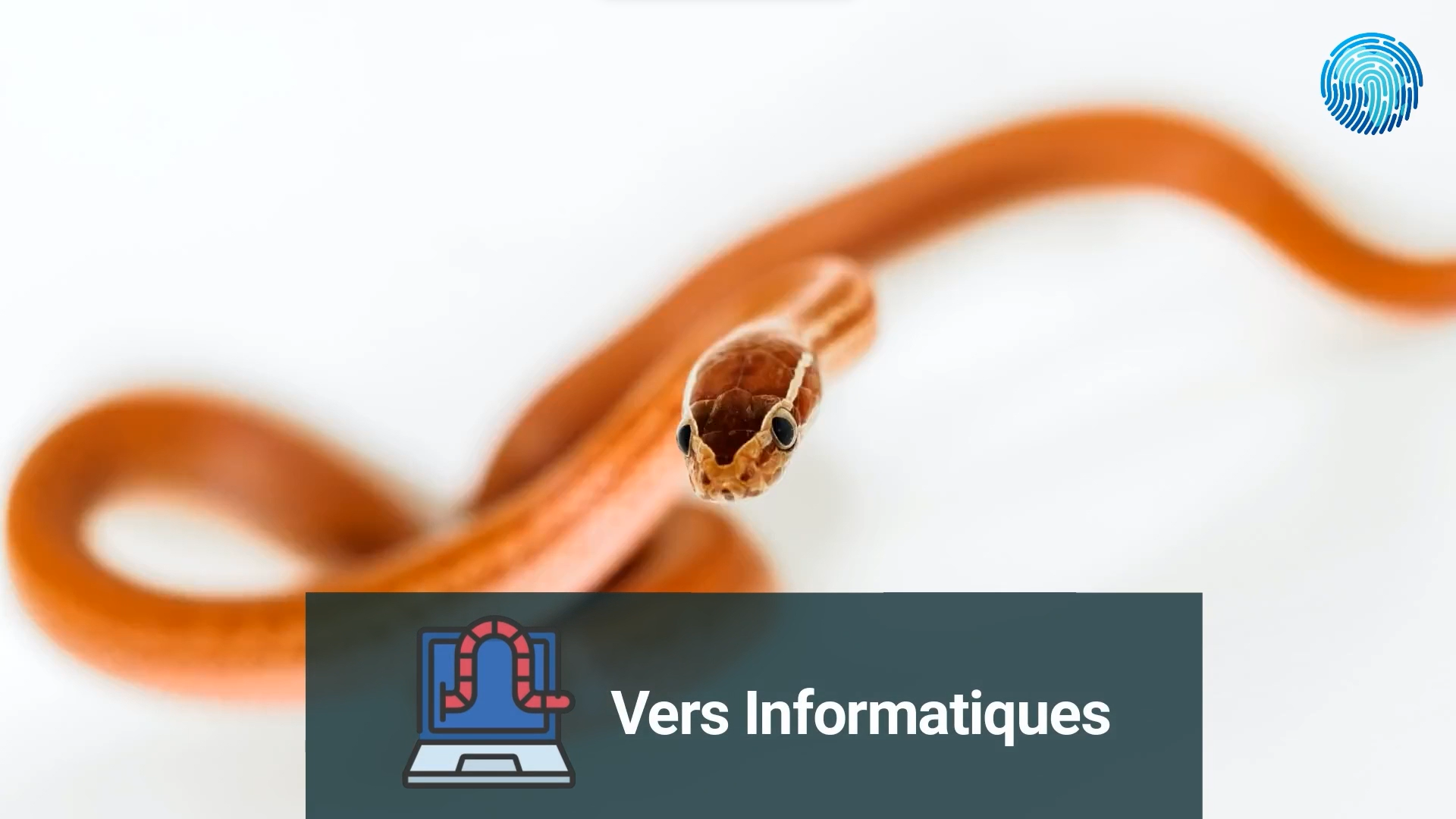 cyberconseil-vers-informatique