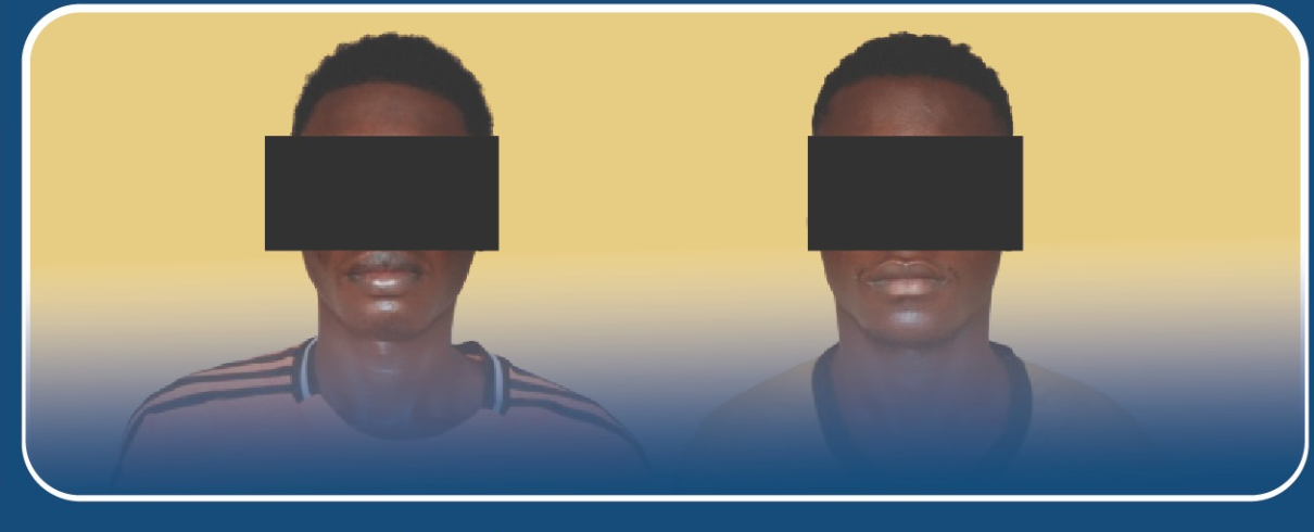 Achats en ligne : la BCLCC démantèle un réseau de cybercriminel sur la vente d'animaux