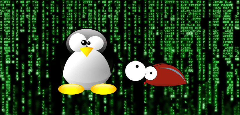 Ubuntu en alerte : des failles critiques dans le noyau Linux exposent les systèmes à des attaques